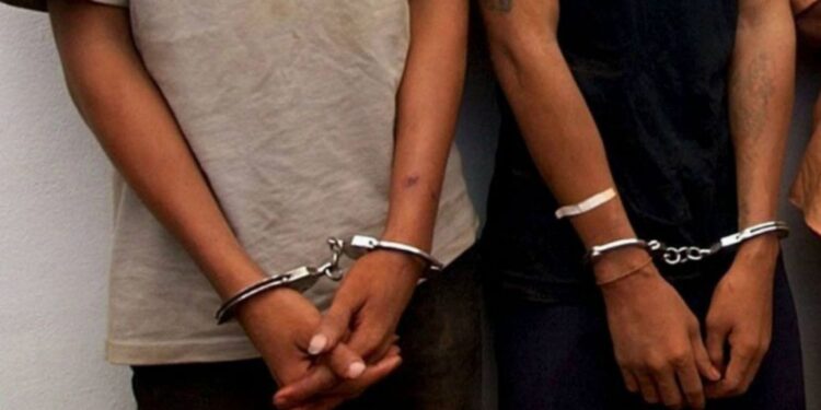 El Senado aprobó el nuevo Régimen Penal Juvenil y bajó la edad de imputabilidad a 14 años