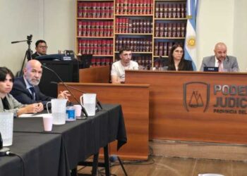 Corrupción: Un tribunal escabinado declaró culpable a Carolina Pardo Said