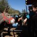 La Expo Ganadera de Comodoro vive su jornada final con remate, asado criollo y festival folclórico