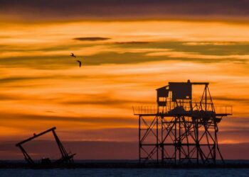 Calor y viento: jornada con ráfagas intensas en Comodoro