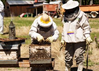 La UNPSJB inició los ensayos a campo del producto BioVar Patagonia