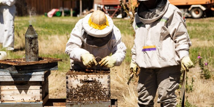 La UNPSJB inició los ensayos a campo del producto BioVar Patagonia