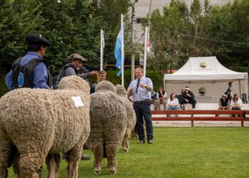 La Expo Rural vive su jornada central con la jura ovina y el festival folclórico