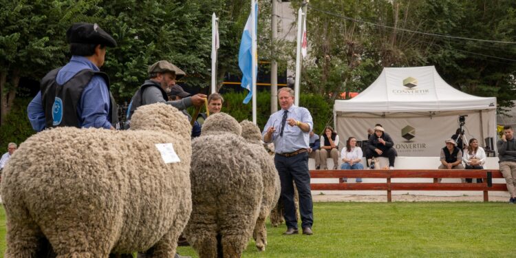 La Expo Rural vive su jornada central con la jura ovina y el festival folclórico