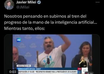 Milei debería mirar con preocupación lo que pasa en Estados Unidos con Trump