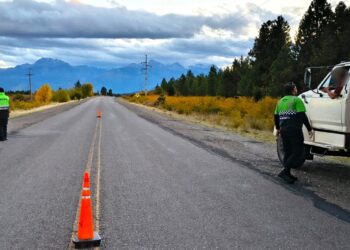 Provincia controló más de 7.000 vehículos y retiró de la vía pública a 72 conductores durante el fin de semana