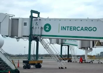 El gobierno avanza en la privatizacion de Intercargo