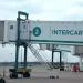 El gobierno avanza en la privatizacion de Intercargo