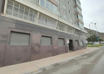 Podría ir a juicio por atropellar a un perro en kilómetro 8