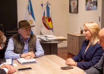 Macharashvili y  Suiskaia ratificaron la voluntad de cooperación en proyectos energéticos, industriales y científicos