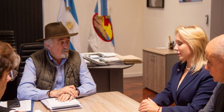 Macharashvili y Suiskaia ratificaron la voluntad de cooperación en proyectos energéticos, industriales y científicos