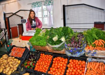 Sarmiento te espera cada fin de semana con sabores, producción local y artesanías únicas