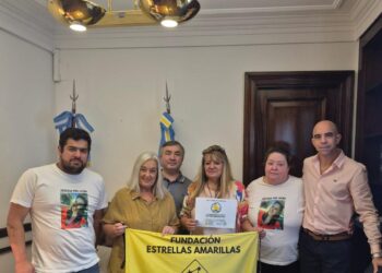 Denuncian a una jueza de Lago Puelo por “desprotección y maltrato” a víctimas viales