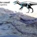 Fósil hallado en la Patagonia es el primero de un saurópodo del Jurásico en Sudamérica