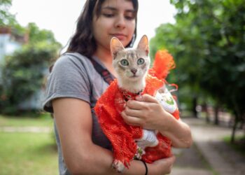 Vacunación antirrábica gratuita en Standard Norte por el Día del Animal