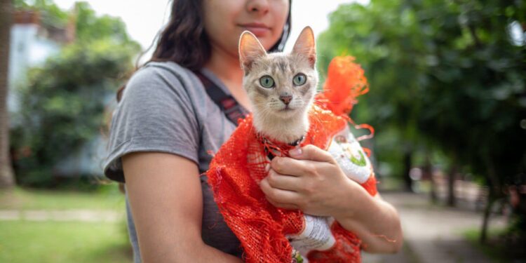 Vacunación antirrábica gratuita en Standard Norte por el Día del Animal