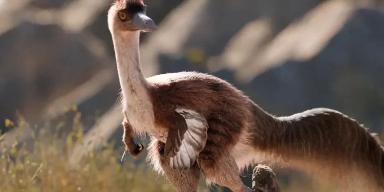 Descubren que un dinosaurio hallado en Río Negro era más grande y fuerte que sus parientes del hemisferio norte