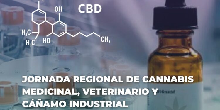 Comodoro Rivadavia será sede de una Jornada Regional de Cannabis Medicinal, Veterinario y Cáñamo Industrial