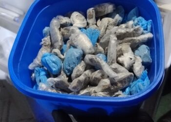 La Policía del Chubut desbarató una banda dedicada al narcomenudeo