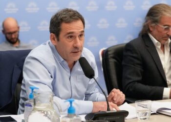 Luque rechazó la reforma energética y advirtió sobre el impacto en las familias patagónicas