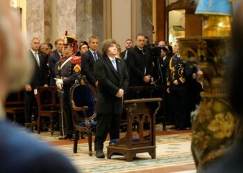 Milei participó del Tedeum
