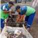 Encontraron animales muertos y presencia de ratas durante una limpieza en barrio Pietrobelli