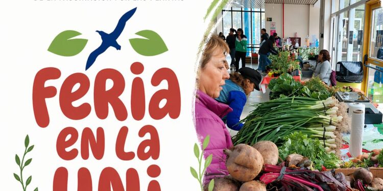 Comodoro tendrá una feria de productores en la UNPSJB y la presentación especial de Sara Itkin