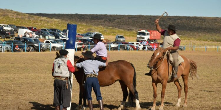 Cultura lanza por primera vez el Registro Provincial de Jinetes