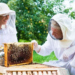 Comodoro celebrará el Día Mundial de las Abejas con talleres y actividades