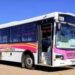 Adjudicación de servicio de colectivo: El municipio informó que MR entregó la documentación