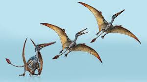 Paleontólogos hallan en la Patagonia una nueva especie de dinosaurio parecido a una garza