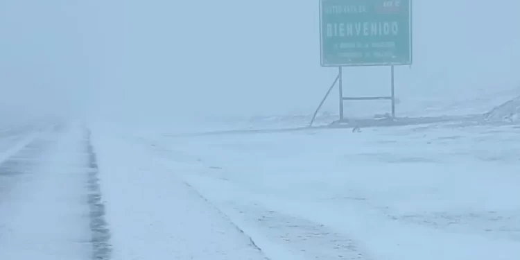 Cerraron el paso internacional Pino Hachado por hielo, nieve y viento blanco