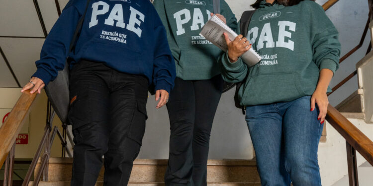 PAE junto a la Universidad de San Andrés lanzan una nueva edición de becas para estudiantes de Chubut y Santa Cruz