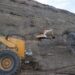 Con maquinaria municipal, comenzaron los trabajos de estabilización del cerro Hermitte