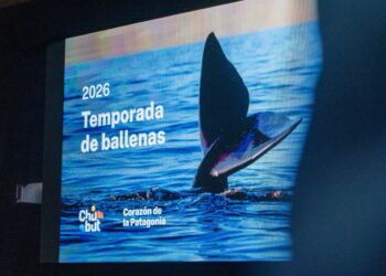 Chubut inauguró la Temporada de Ballenas 2026