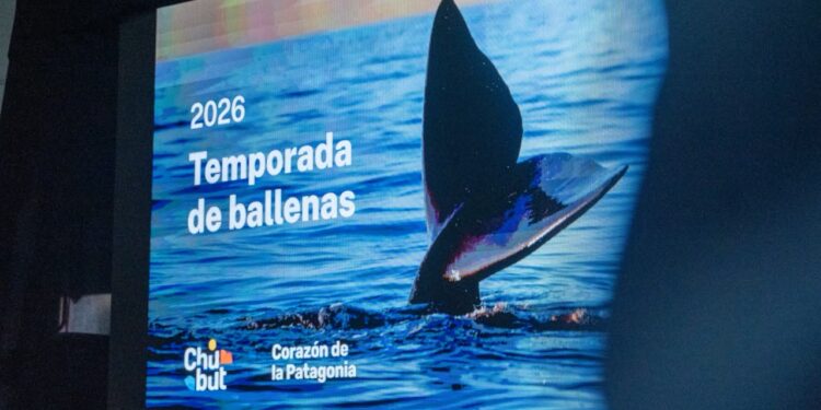 Chubut inauguró la Temporada de Ballenas 2026