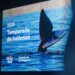 Chubut inauguró la Temporada de Ballenas 2026