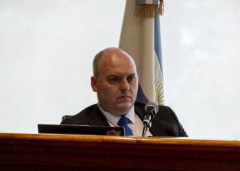 Esquel: declaran a un caballo “sujeto de derecho no humano” tras ser rescatado de un cuadro de abandono