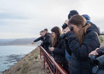 Rada Tilly recibió a una misión del Banco Mundial para analizar oportunidades de desarrollo turístico sostenible