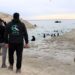 Un estudio reveló que el snorkel con lobos marinos genera más de 700 mil dólares al año