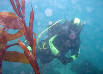 Camarones amplía su programa de buceo con nueva cohorte en julio
