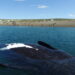Chubut apuesta fuerte: ballenas y nueva ruta para potenciar el turismo