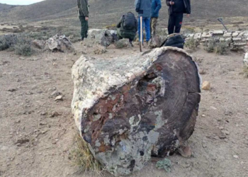 Descubren un bosque petrificado de 50 millones de años en Pilcaniyeu