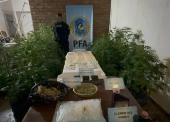 La Policía Federal desmanteló un vivero de cultivo en interior de marihuana en Caleta Olivia