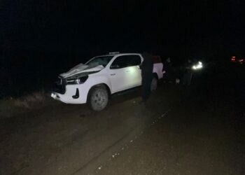 Ruta 26: camioneta chocó contra un caballo en el kilómetro 4
