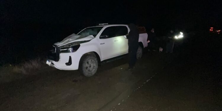 Ruta 26: camioneta chocó contra un caballo en el kilómetro 4