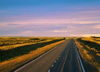 Precaución en rutas de Chubut por heladas y animales sueltos