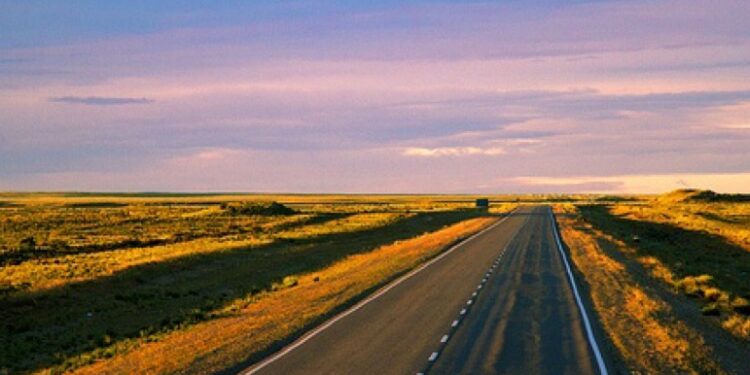 Precaución en rutas de Chubut por heladas y animales sueltos