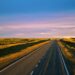 Precaución en rutas de Chubut por heladas y animales sueltos