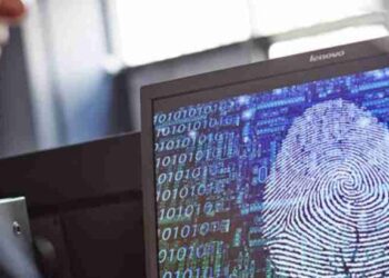 Chubut internacionaliza su software y aprueba beneficios locales
